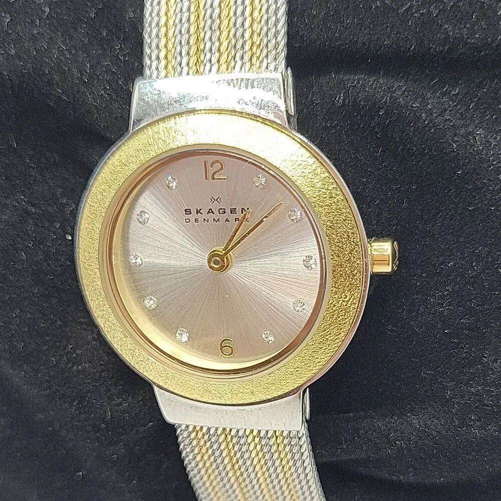 SKAGEN SKW2157 Women's Stainless Steel Analog Gold Dial Quartz Wrist Watch AM597